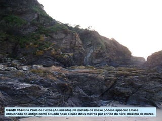 Cantil fósil na Praia de Foxos (A Lanzada). Na metade da imaxe pódese apreciar a base
erosionada do antigo cantil situado hoxe a case dous metros por enriba do nivel máximo da marea.
 