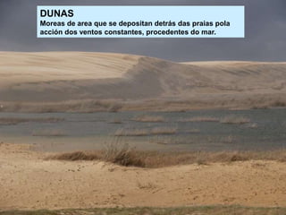DUNAS
Moreas de area que se depositan detrás das praias pola
acción dos ventos constantes, procedentes do mar.
 