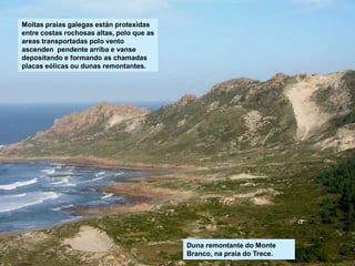 Moitas praias galegas están protexidas
entre costas rochosas altas, polo que as
areas transportadas polo vento
ascenden pendente arriba e vanse
depositando e formando as chamadas
placas eólicas ou dunas remontantes.
Duna remontante do Monte
Branco, na praia do Trece.
 