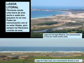 Lagoa de Carregal (Ribeira), con comunicación
co mar por medio dunha canle.
Lagoa de Traba Laxe), sen comunicación directa co mar.
LAGOA
LITORAL
Fórmanse cando
unha barra de area
pecha a saída dun
pequeno río ao mar.
Poden ter
comunicación con el
ou estar illadas, pero
sempre hai filtracións
a través da area.
 