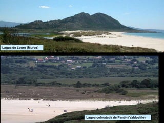 Lagoa colmatada de Pantín (Valdoviño)
Lagoa de Louro (Muros)
 