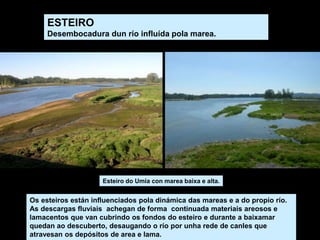 Os esteiros están influenciados pola dinámica das mareas e a do propio río.
As descargas fluviais achegan de forma continuada materiais areosos e
lamacentos que van cubrindo os fondos do esteiro e durante a baixamar
quedan ao descuberto, desaugando o río por unha rede de canles que
atravesan os depósitos de area e lama.
Esteiro do Umia con marea baixa e alta.
ESTEIRO
Desembocadura dun río influída pola marea.
 