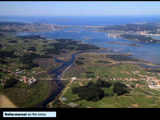 No interior das rías, onde a enerxía do
mar é menor, os depósitos areosos
dalgúns esteiros poden adquirir unha
forma semellante aos característicos
deltas dos ríos mediterráneos, aínda que
na preamar permanecen mergullados.
Delta-mareal do Río Umia
 