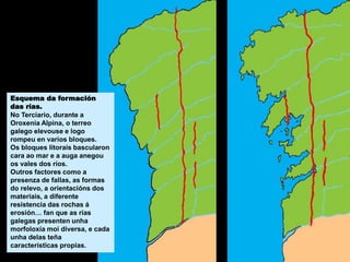 Esquema da formación
das rías.
No Terciario, durante a
Oroxenia Alpina, o terreo
galego elevouse e logo
rompeu en varios bloques.
Os bloques litorais bascularon
cara ao mar e a auga anegou
os vales dos ríos.
Outros factores como a
presenza de fallas, as formas
do relevo, a orientacións dos
materiais, a diferente
resistencia das rochas á
erosión… fan que as rías
galegas presenten unha
morfoloxía moi diversa, e cada
unha delas teña
características propias.
 
