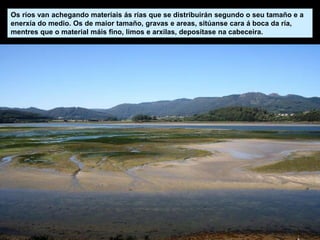 Os ríos van achegando materiais ás rías que se distribuirán segundo o seu tamaño e a
enerxía do medio. Os de maior tamaño, gravas e areas, sitúanse cara á boca da ría,
mentres que o material máis fino, limos e arxilas, deposítase na cabeceira.
 