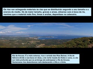 Os ríos van achegando materiais ás rías que se distribuirán segundo o seu tamaño e a
enerxía do medio. Os de maior tamaño, gravas e areas, sitúanse cara á boca da ría,
mentres que o material máis fino, limos e arxilas, deposítase na cabeceira.
Ría de Arousa. É a máis extensa, rica e variada das Rías Baixas. A illa de
Sálvora divide a súa boca en dúas, a do norte inzada de illotes e cons, e a do
sur máis profunda que se prolonga ata sobrepasar a Illa de Arousa.
Numerosos ríos desembocan nela destacando o Ulla e o Umia.
 