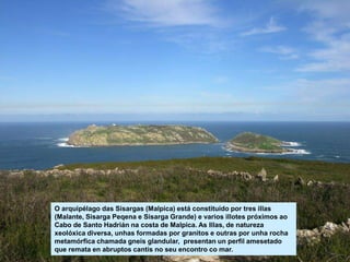 O arquipélago das Sisargas (Malpica) está constituído por tres illas
(Malante, Sisarga Peqena e Sisarga Grande) e varios illotes próximos ao
Cabo de Santo Hadrián na costa de Malpica. As Illas, de natureza
xeolóxica diversa, unhas formadas por granitos e outras por unha rocha
metamórfica chamada gneis glandular, presentan un perfil amesetado
que remata en abruptos cantís no seu encontro co mar.
 