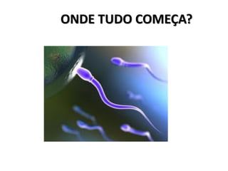 ONDE TUDO COMEÇA?
 