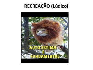 RECREAÇÃO (Lúdico)
 
