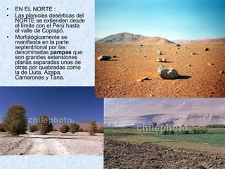 <ul><li>EN EL NORTE : </li></ul><ul><li>Las planicies desérticas del NORTE se extienden desde el límite con el Perú hasta ...