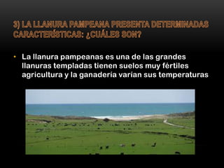 • La llanura pampeanas es una de las grandes
llanuras templadas tienen suelos muy fértiles
agricultura y la ganadería varí...