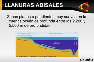LLANURAS ABISALES -Zonas planas o pendientes muy suaves en la cuenca oceánica profunda entre los 2.200 y 5.500 m de profundidad. 