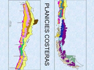 PLANICIES COSTERAS 