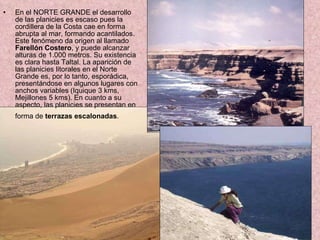 En el NORTE GRANDE el desarrollo de las planicies es escaso pues la cordillera de la Costa cae en forma abrupta al mar, formando acantilados. Este fenómeno da origen al llamado  Farellón Costero , y puede alcanzar alturas de 1.000 metros. Su existencia es clara hasta Taltal. La aparición de las planicies litorales en el Norte Grande es, por lo tanto, esporádica, presentándose en algunos lugares con anchos variables (Iquique 3 kms, Mejillones 5 kms). En cuanto a su aspecto, las planicies se presentan en forma de  terrazas   escalonadas .   