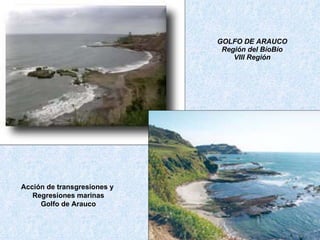 GOLFO DE ARAUCO Región del BíoBío VIII Región Acción de transgresiones y  Regresiones marinas Golfo de Arauco 