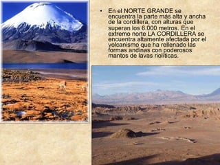En el NORTE GRANDE se encuentra la parte más alta y ancha de la cordillera, con alturas que superan los 6.000 metros.   En el extremo norte LA CORDILLERA se encuentra altamente afectada por el volcanismo que ha rellenado las formas andinas con poderosos mantos de lavas riolíticas.  