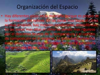 Organización del Espacio
• Hay diferentes pisos en la montaña porque es propio de
la formación del relieve. En las zonas mas bajas el clima
es mas propicio, hay mejores condiciones atmosféricas;
En las zonas mas altas el clima va siendo mas riguroso
por el descenso brusco de la temperatura y el cambio
de composición en el oxigeno. La sociedad aprovecha
estos pisos realizando cultivos en terrazas y ganadería
de invernada en los valles.
 