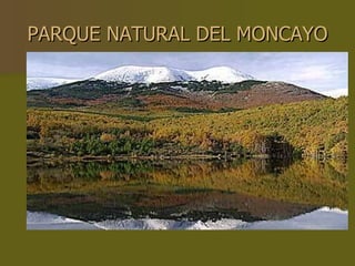 PARQUE NATURAL DEL MONCAYO 
