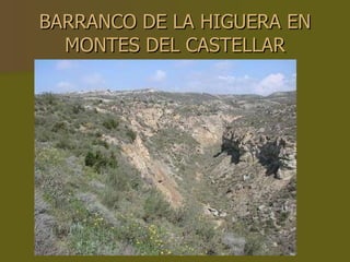 BARRANCO DE LA HIGUERA EN MONTES DEL CASTELLAR 