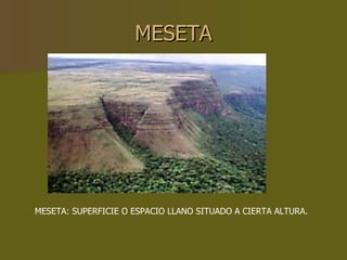 MESETA MESETA: SUPERFICIE O ESPACIO LLANO SITUADO A CIERTA ALTURA. 