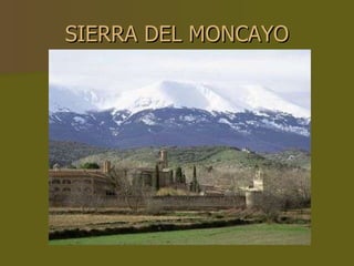 SIERRA DEL MONCAYO 