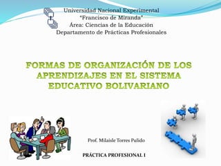 Universidad Nacional Experimental
“Francisco de Miranda”
Área: Ciencias de la Educación
Departamento de Prácticas Profesionales
Prof. Milaísle Torres Pulido
PRÁCTICA PROFESIONAL I
 