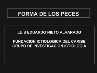 FORMA DE LOS PECES
LUIS EDUARDO NIETO ALVARADO
FUNDACION ICTIOLOGICA DEL CARIBE
GRUPO DE INVESTIGACION ICTIOLOGIA
 
