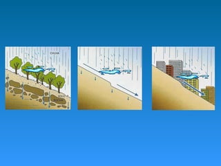 Formasderelevo 090520043837-phpapp02