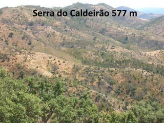 Serra do Caldeirão 577 m 