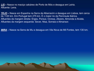 LIS – Nasce no maciço calcáreo de Porto de Mós e desagua em Leiria.Afluente: Lena. TEJO – Nasce em Espanha na Serra de Albarracim e desagua em Lisboa, tem cerca de 1120 km. Em Portugal tem 275 km. É o maior rio da Península Ibérica.Afluentes da margem direita: Erges, Ponsul, Ocresa, Zêzere, Almonda e Alviela.Afluentes da margem esquerda: Sever, Nisa, Sorraia e Almansor. MIRA – Nasce na Serra de Mu e desagua em Vila Nova de Mil Fontes, tem 130 km. 
