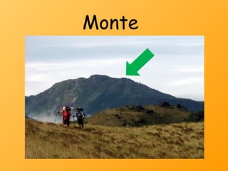 Monte
 