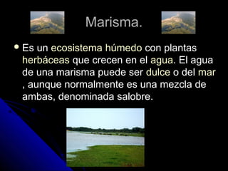 Marisma.Marisma.
 Es unEs un ecosistemaecosistema húmedohúmedo con plantascon plantas
herbáceasherbáceas que crecen en elque crecen en el aguaagua. El agua. El agua
de una marisma puede serde una marisma puede ser dulcedulce o delo del marmar
, aunque normalmente es una mezcla de, aunque normalmente es una mezcla de
ambas, denominada salobre.ambas, denominada salobre.
 