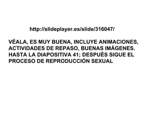 http://slideplayer.es/slide/316047/
VÉALA, ES MUY BUENA, INCLUYE ANIMACIONES,
ACTIVIDADES DE REPASO, BUENAS IMÁGENES.
HASTA LA DIAPOSITIVA 41; DESPUÉS SIGUE EL
PROCESO DE REPRODUCCIÓN SEXUAL