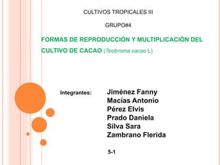 Formas de reproducción y multiplicación del cultivo de CACAO