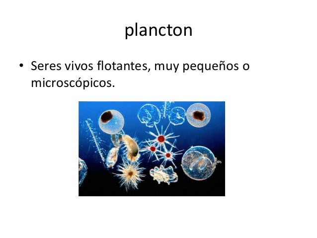 Formas de vida de los organismos en océano