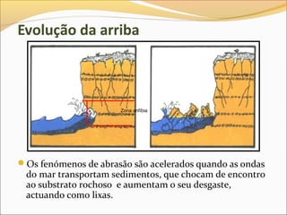 Evolução da arriba



                      Zona anfíbia




Os fenómenos de abrasão são acelerados quando as ondas
 do mar transportam sedimentos, que chocam de encontro
 ao substrato rochoso e aumentam o seu desgaste,
 actuando como lixas.
 