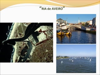 “RIA de AVEIRO”
 