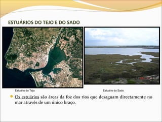 ESTUÁRIOS DO TEJO E DO SADO




  Estuário do Tejo                           Estuário do Sado

 Os estuários são áreas da foz dos rios que desaguam directamente no
  mar através de um único braço.
 