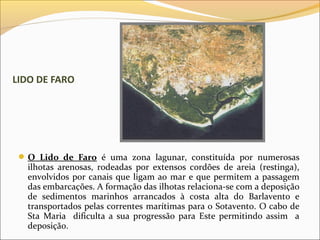 LIDO DE FARO




  O Lido de Faro é uma zona lagunar, constituída por numerosas
   ilhotas arenosas, rodeadas por extensos cordões de areia (restinga),
   envolvidos por canais que ligam ao mar e que permitem a passagem
   das embarcações. A formação das ilhotas relaciona-se com a deposição
   de sedimentos marinhos arrancados à costa alta do Barlavento e
   transportados pelas correntes marítimas para o Sotavento. O cabo de
   Sta Maria dificulta a sua progressão para Este permitindo assim a
   deposição.
 