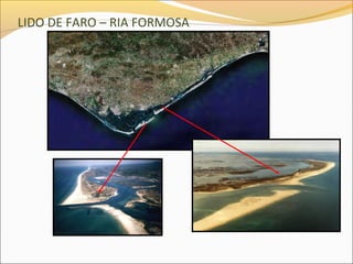 LIDO DE FARO – RIA FORMOSA
 