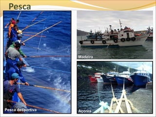 Madeira




Pesca desportiva   Açores
 