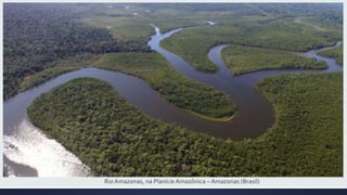 Rio Amazonas, na PlanícieAmazônica – Amazonas (Brasil)
 