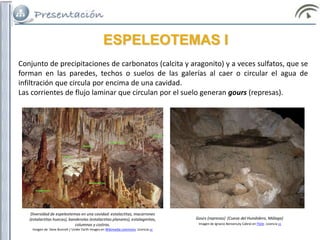 ESPELEOTEMAS I
Conjunto de precipitaciones de carbonatos (calcita y aragonito) y a veces sulfatos, que se
forman en las paredes, techos o suelos de las galerías al caer o circular el agua de
infiltración que circula por encima de una cavidad.
Las corrientes de flujo laminar que circulan por el suelo generan gours (represas).
Gours (represas) (Cueva del Hundidero, Málaga)
Imagen de Ignacio Benvenuty Cabral en Flickr. Licencia cc
Diversidad de espeleotemas en una cavidad: estalactitas, macarrones
(estalactitas huecas), banderolas (estalactitas planares), estalagmitas,
columnas y costras.
Imagen de Dave Bunnell / Under Earth Images en Wikimedia commons. Licencia cc
 