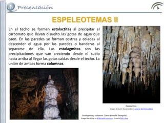 ESPELEOTEMAS II
En el techo se forman estalactitas al precipitar el
carbonato que llevan disuelto las gotas de agua que
caen. En las paredes se forman costras y coladas al
descender el agua por las paredes o banderas al
separarse de ella. Las estalagmitas son las
precipitaciones que van creciendo desde el suelo
hacia arriba al llegar las gotas caídas desde el techo. La
unión de ambas forma columnas.
Estalactitas
Imagen de autor desconocido en pxhere. Dominio público
Estalagmita y columna. Cueva Baradla (Hungría)
Imagen de Wojsyl en Wikimedia commons.. Licencia GNU Libre
 
