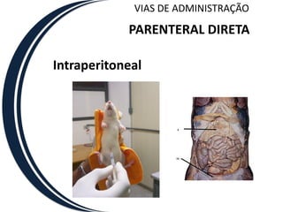VIAS DE ADMINISTRAÇÃO

            PARENTERAL DIRETA

Intraperitoneal
 