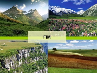 FIM 
