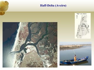 Haff-Delta (Aveiro)
 