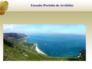 Enseada (Portinho da Arrábida)
 