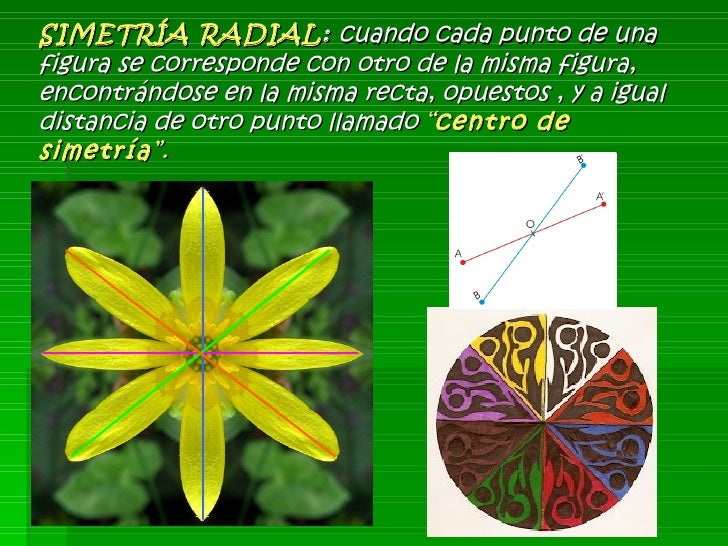 Resultado de imagen para eje de simetria radial