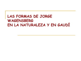 LAS FORMAS DE JORGE WAGENSBERG  EN LA NATURALEZA Y EN GAUDÍ 